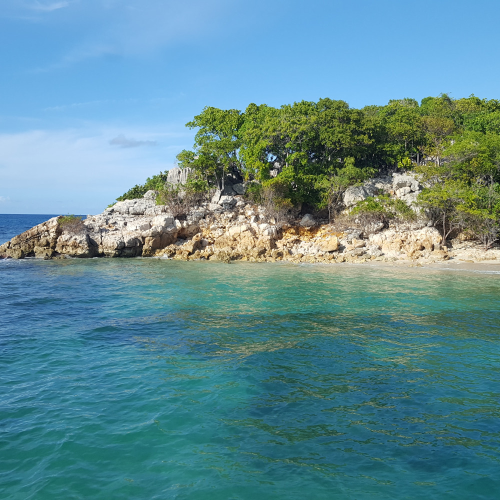 Meet your Posher, Katy